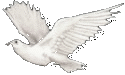  (125x75, 4Kb)
