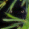  (100x100, 8Kb)