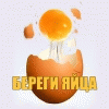  (100x100, 5Kb)