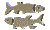 (50x30, 4Kb)