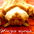  (110x110, 18Kb)