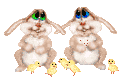  (128x80, 14Kb)