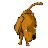 5a6 (100x100, 10Kb)