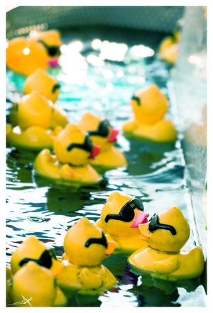 )) 22269114_Reservoir_Ducks_by_nonphotoblue