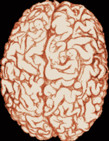  (155x200, 20Kb)
