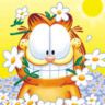 garfield (96x96, 3Kb)