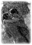  (107x150, 5Kb)