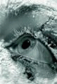  (81x120, 10Kb)