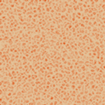  (150x150, 59Kb)
