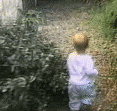  (117x111, 302Kb)