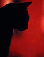  (150x194, 17Kb)