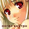  (100x100, 31Kb)
