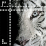  (150x150, 18Kb)