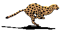  (133x63, 6Kb)