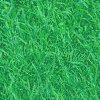 10619960_green82 (100x100, 5Kb)