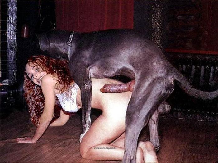 ПОРНО истории, порно с собаками, gjhyj c ;bdjnysvb, порно с конем, секс с к