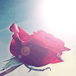  (150x150, 16Kb)