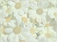  (200x148, 5Kb)