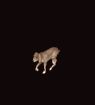  (95x105, 3Kb)