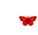insect (21) (131x121, 14Kb)