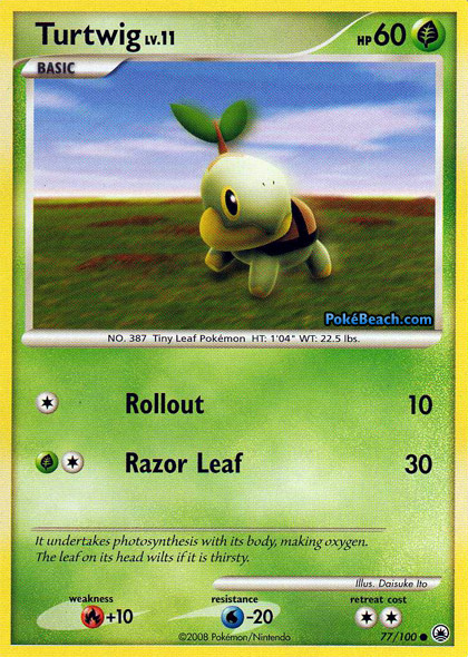 24925031_77turtwig.jpg