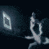  (70x70, 19Kb)