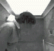  (106x100, 91Kb)