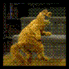 5706347 (100x100, 22Kb)