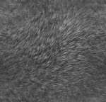misc367 (150x144, 6Kb)