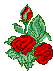  (53x71, 2Kb)