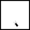 (100x100, 6Kb)