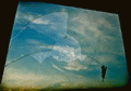  (120x84, 7Kb)