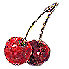  (100x100, 3Kb)