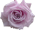  (50x43, 5Kb)