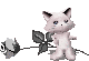38232104_061 (80x55, 17Kb)