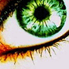  (100x100, 8Kb)