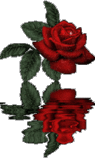  (95x160, 45Kb)