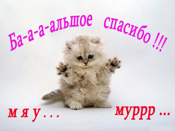 http://img1.liveinternet.ru/images/attach/b/3//41/933/41933568__22511.jpg