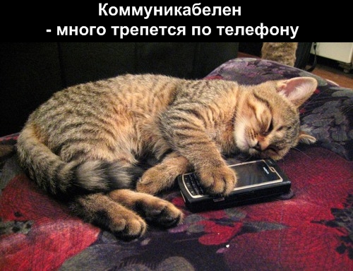 http://img1.liveinternet.ru/images/attach/b/3//42/75/42075715_1238915996_3.jpg