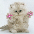 23789711_4002722_Kisa (120x120, 19Kb)