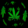 5 (100x100, 20Kb)