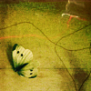 c7f8ac4ebc01 (100x100, 41Kb)