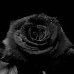  (150x150, 9Kb)