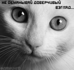  (150x143, 66Kb)