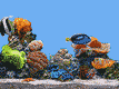 (107x80, 25Kb)