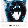  (100x100, 7Kb)