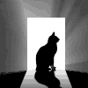  (100x100, 11Kb)