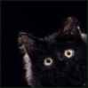  (99x99, 25Kb)