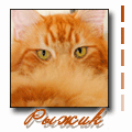  (120x120, 13Kb)