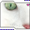  (100x100, 14Kb)